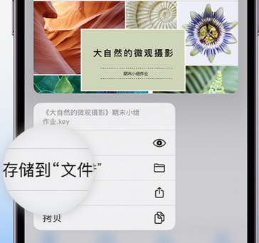 镜铁区apple维修中心分享iPhone文件应用中存储和找到下载文件