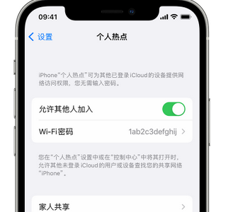 镜铁区apple服务站点分享iPhone上个人热点丢失了怎么办 