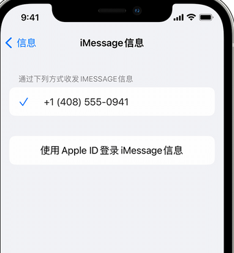 镜铁区apple维修iPhone上无法正常发送iMessage信息 