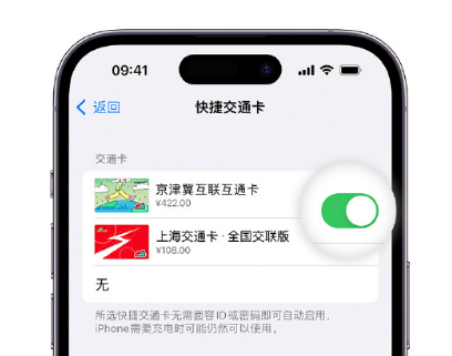 镜铁区apple维修点分享iPhone上更换Apple Pay快捷交通卡手绘卡面 