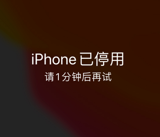 镜铁区苹果手机维修分享:iPhone 显示“不可用”或“已停用”怎么办？还能保留数据吗？ 