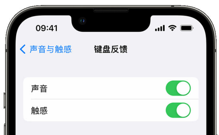 镜铁区苹果手机维修分享iPhone 14触感键盘使用方法 