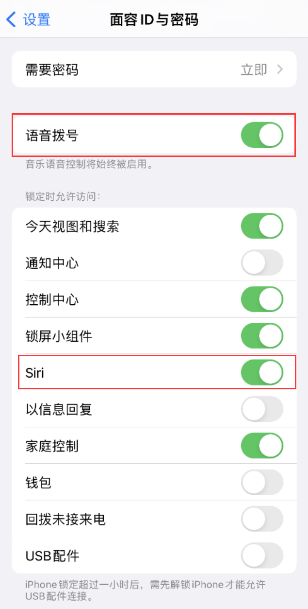 镜铁区苹果维修网点分享不解锁 iPhone 的情况下通过 Siri 拨打电话的方法 