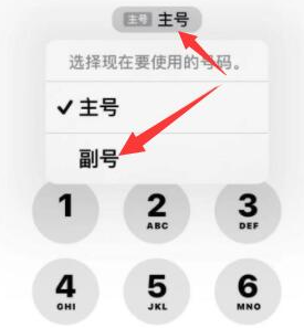 镜铁区苹果14维修店分享iPhone 14 Pro Max使用副卡打电话的方法 