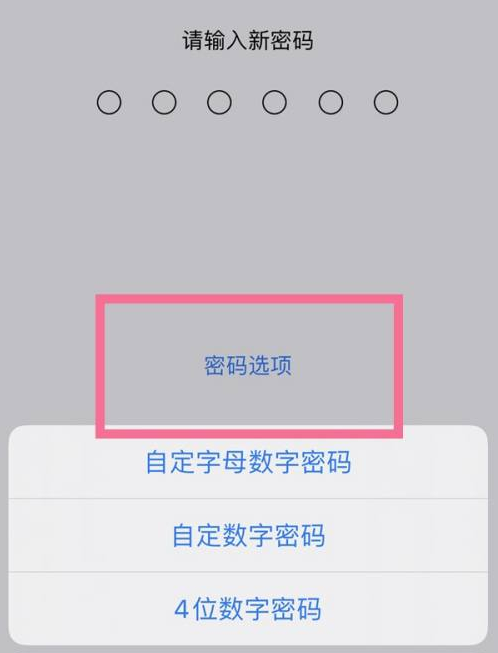 镜铁区苹果14维修分享iPhone 14plus设置密码的方法 