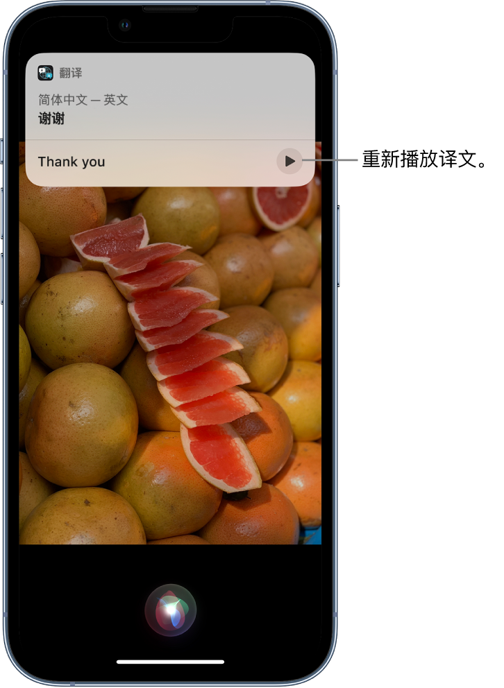 镜铁区苹果14维修分享 iPhone 14 机型中使用 Siri：了解 Siri 能帮你做什么 