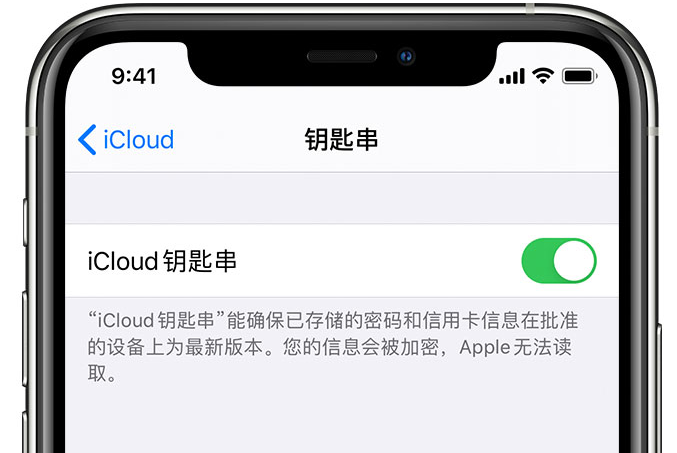 镜铁区苹果手机维修分享在 iPhone 上开启 iCloud 钥匙串之后会储存哪些信息 