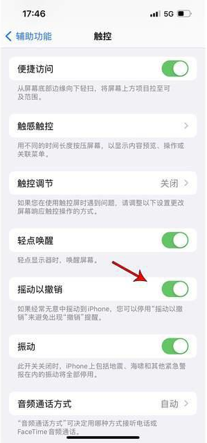 镜铁区苹果手机维修分享iPhone手机如何设置摇一摇删除文字 